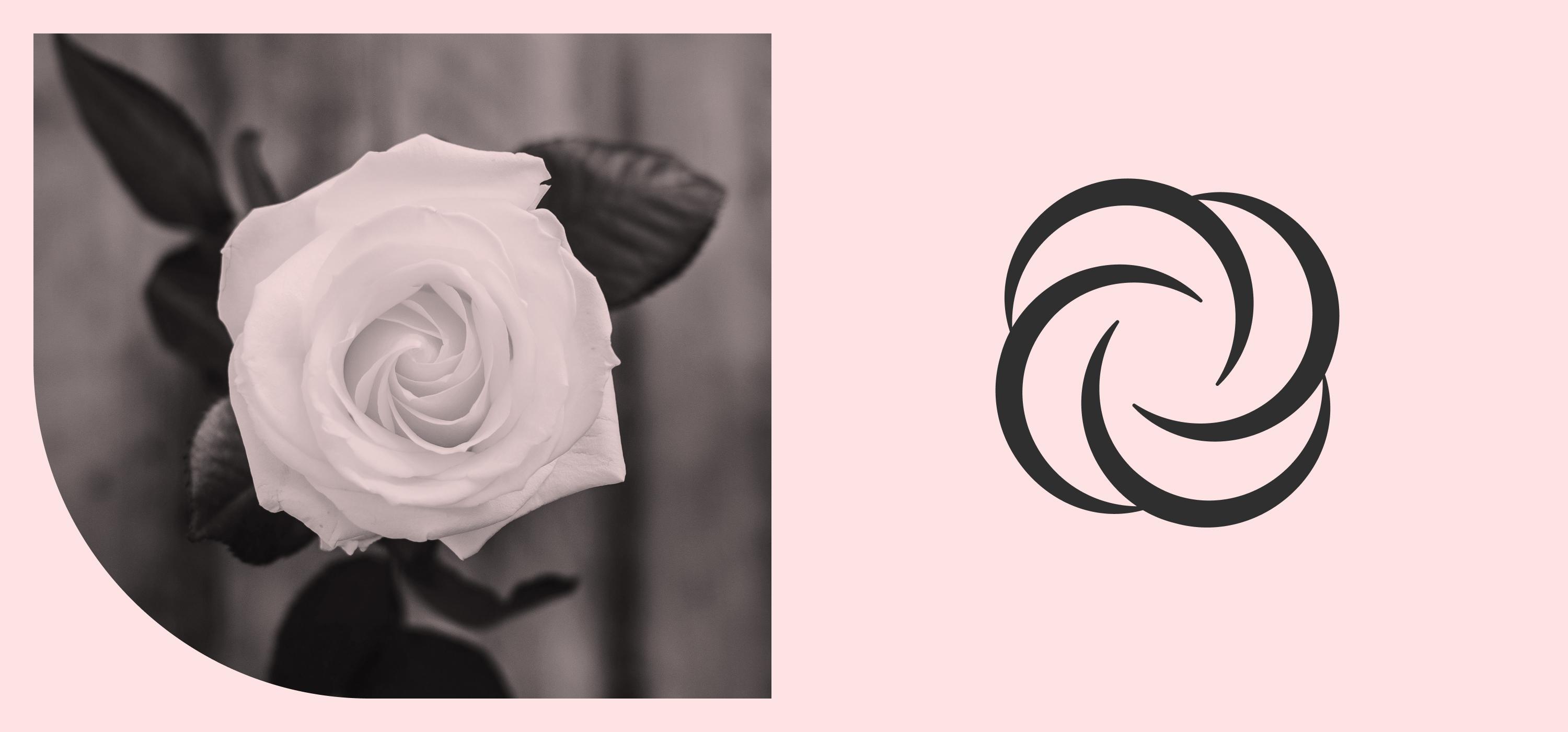 A rose and the logo mark side by side